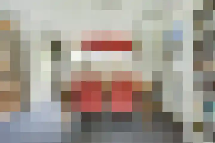 Noorse Wal 6 Hank thumbnail 13