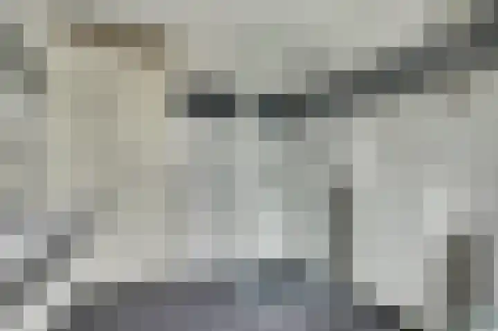Noorse Wal 6 Hank thumbnail 21