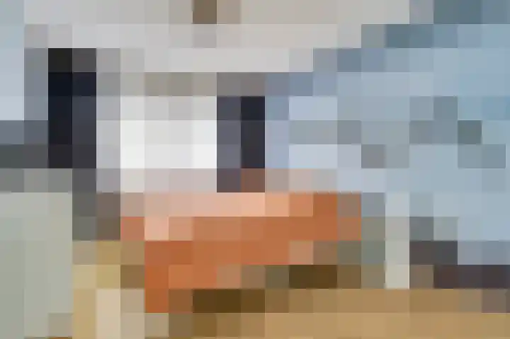 Noorse Wal 6 Hank thumbnail 22