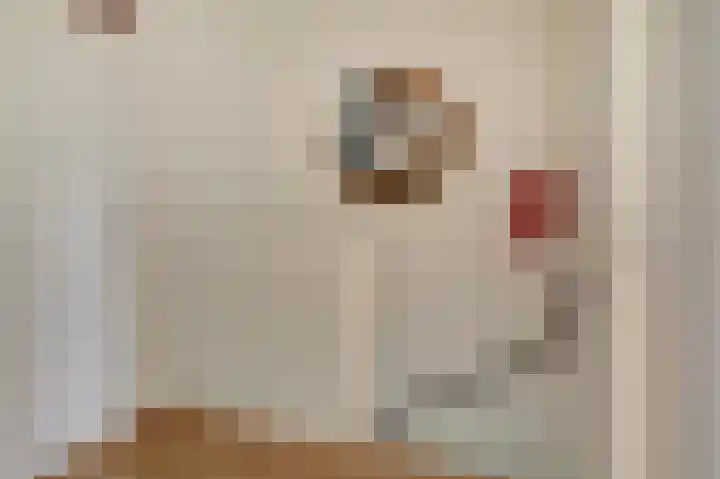 Noorse Wal 6 Hank thumbnail 27
