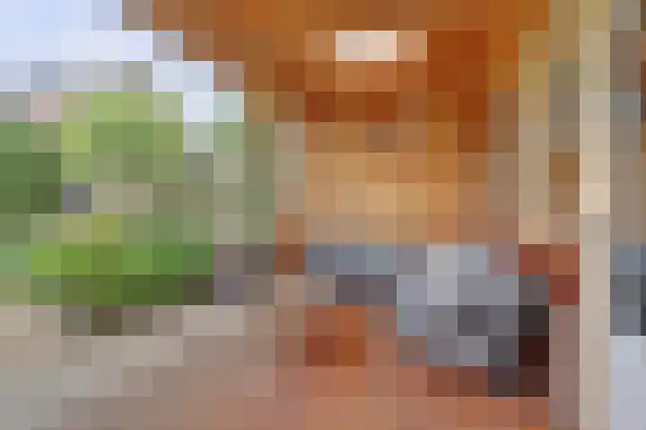 Noorse Wal 6 Hank thumbnail 32