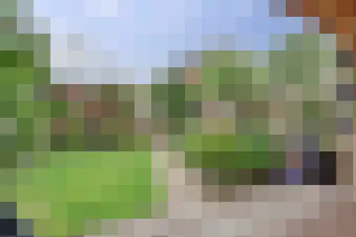 Noorse Wal 6 Hank thumbnail 34