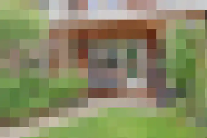 Noorse Wal 6 Hank thumbnail 35