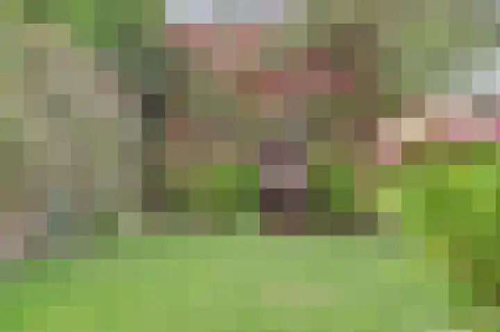 Noorse Wal 6 Hank thumbnail 36
