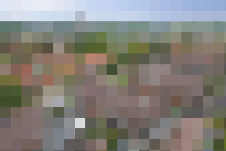 Noorse Wal 6 Hank thumbnail 40