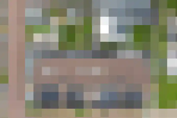 Noorse Wal 6 Hank thumbnail 42