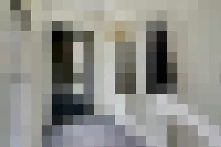 Noorse Wal 6 Hank thumbnail 8
