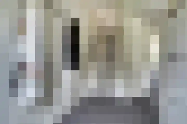 Noorse Wal 6 Hank thumbnail 9