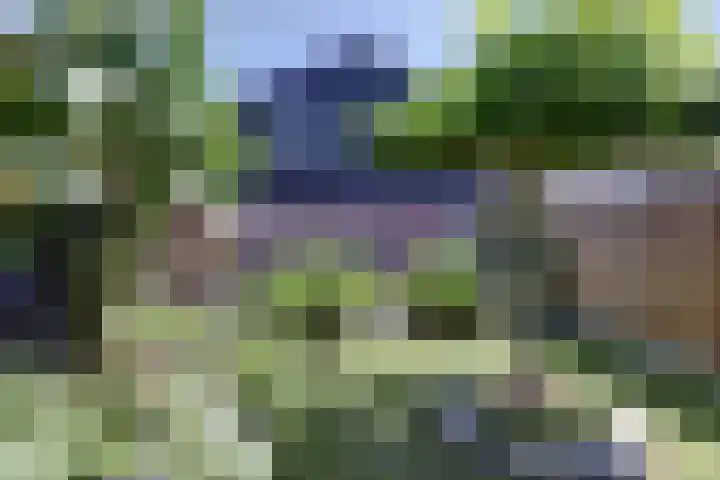Noorsestraat 12 Ouwerkerk thumbnail 25
