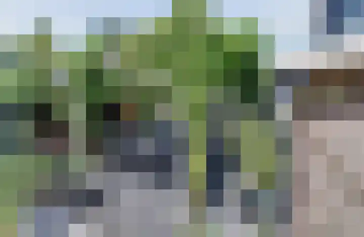 Noorsestraat 12 Ouwerkerk thumbnail 26