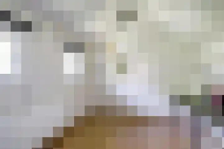 Noorsestraat 12 Ouwerkerk thumbnail 32
