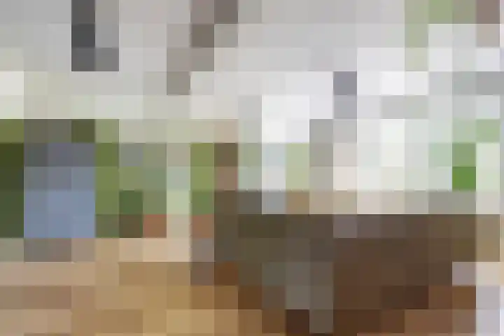 Noorsestraat 12 Ouwerkerk thumbnail 5