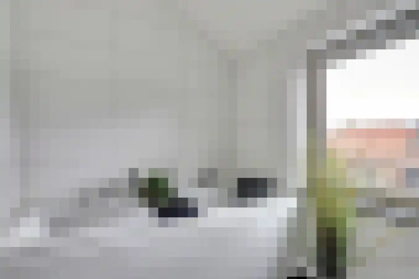 Noorsestraat 14 Ouwerkerk thumbnail 22