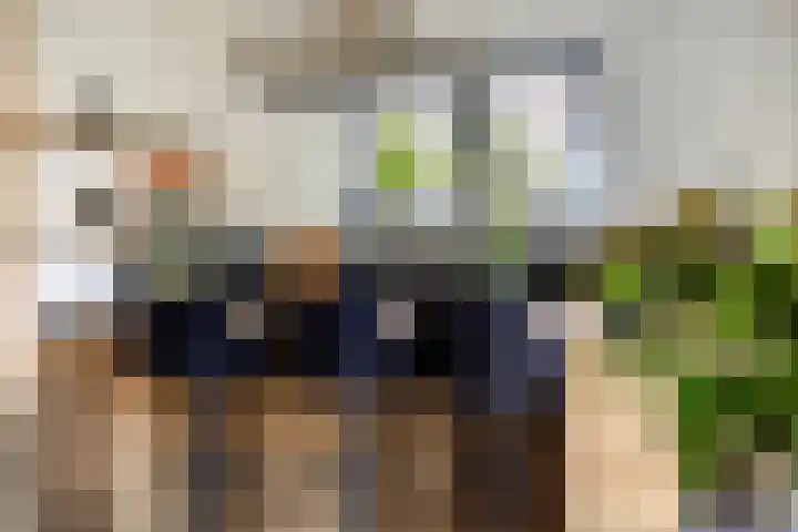Noorsestraat 17 Delfzijl thumbnail 17