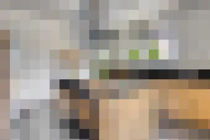 Noorsestraat 17 Delfzijl thumbnail 18