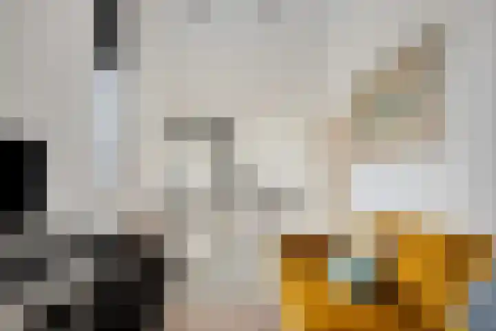 Noorsestraat 4 Nieuwerkerk aan den IJssel thumbnail 16