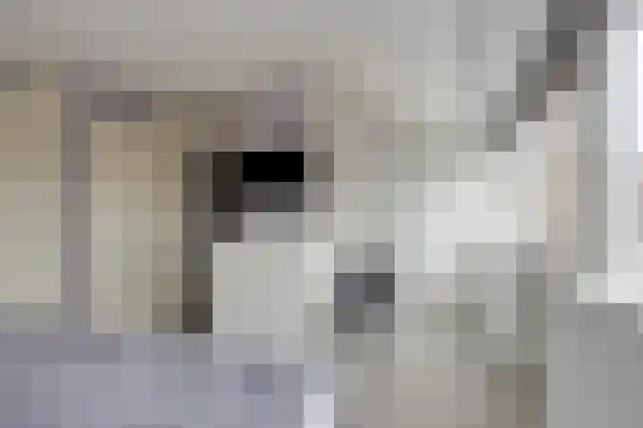 Noorsestraat 4 Nieuwerkerk aan den IJssel thumbnail 20
