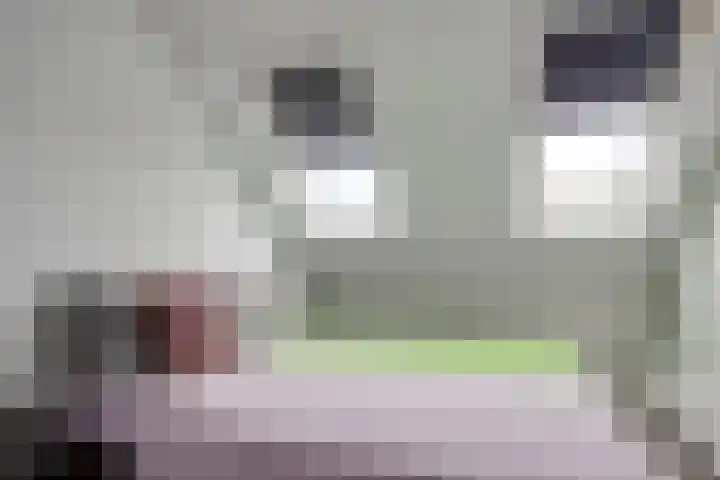 Noorsestraat 4 Nieuwerkerk aan den IJssel thumbnail 29