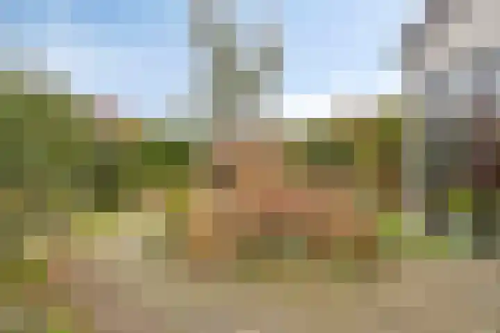Noorsestraat 4 Nieuwerkerk aan den IJssel thumbnail 31