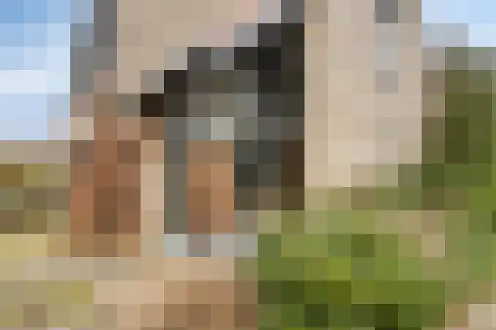 Noorsestraat 4 Nieuwerkerk aan den IJssel thumbnail 33