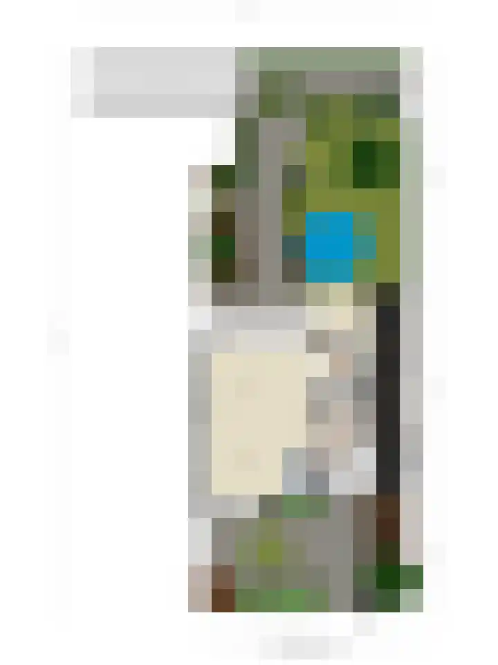 Noorsestraat 4 Nieuwerkerk aan den IJssel thumbnail 39