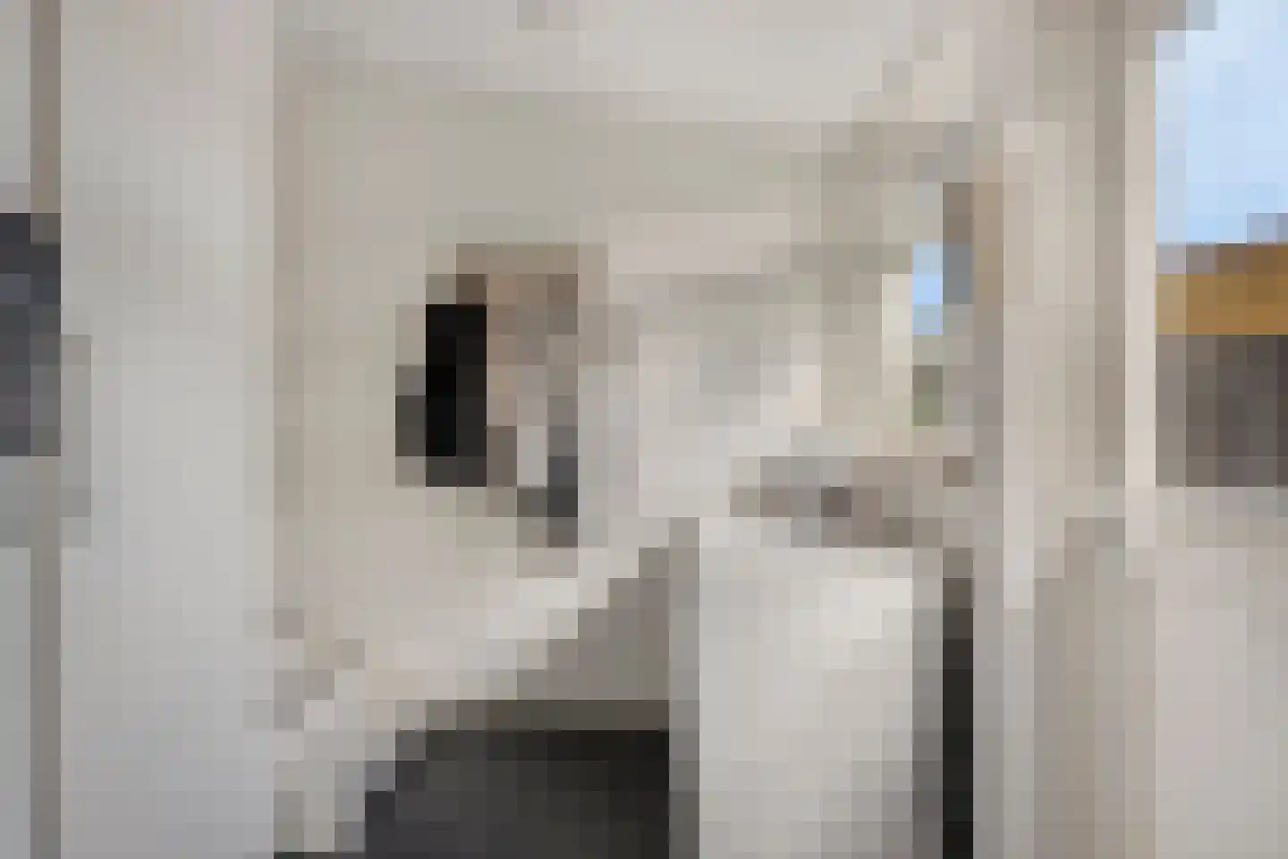 Noorsestraat 9 Ouwerkerk thumbnail 12