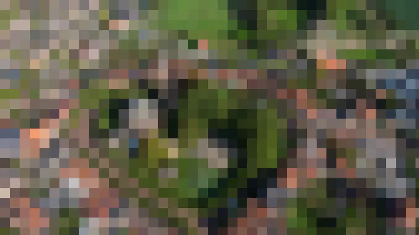 Noorsestraat 9 Ouwerkerk thumbnail 37