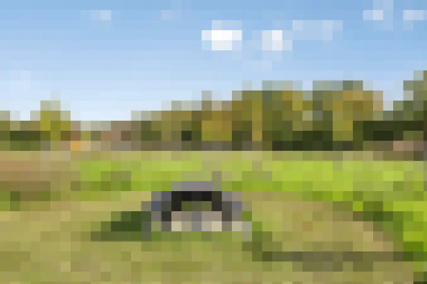 Noorsestraat 9 Ouwerkerk thumbnail 42