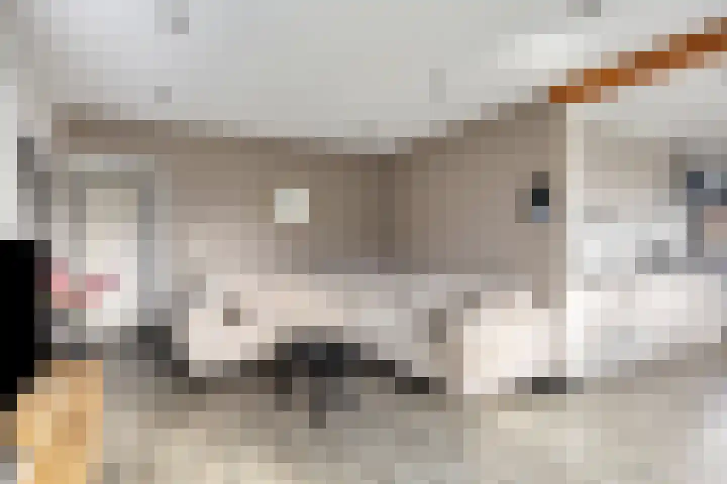 Noorsestraat 9 Ouwerkerk thumbnail 5