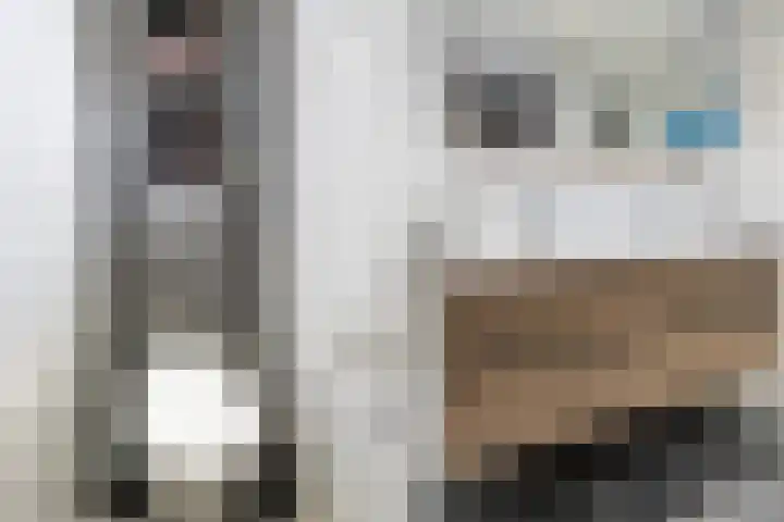 Noorseweg 13 Gorssel thumbnail 27