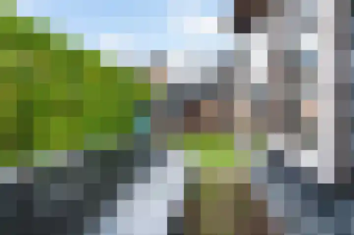 Noorseweg 13 Gorssel thumbnail 36