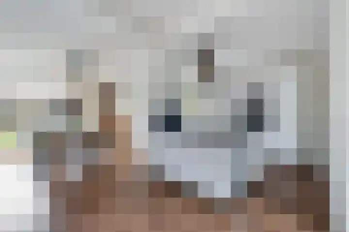 Noorseweg 13 Gorssel thumbnail 7