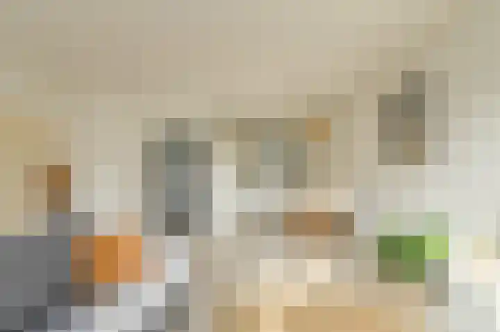 Noortberghmoeren 44 Breda thumbnail 10