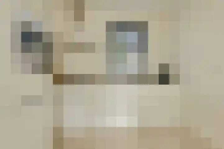 Noortberghmoeren 44 Breda thumbnail 12