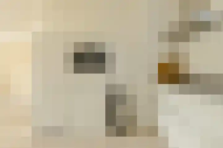 Noortberghmoeren 44 Breda thumbnail 14