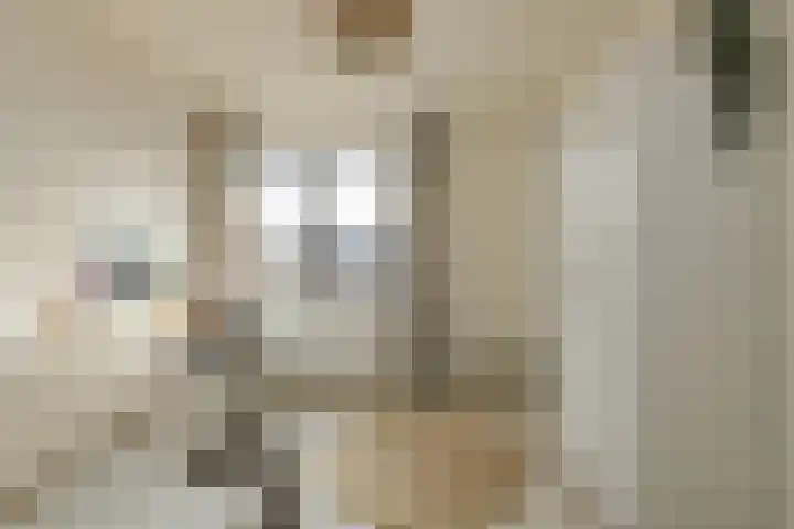 Noortberghmoeren 44 Breda thumbnail 26