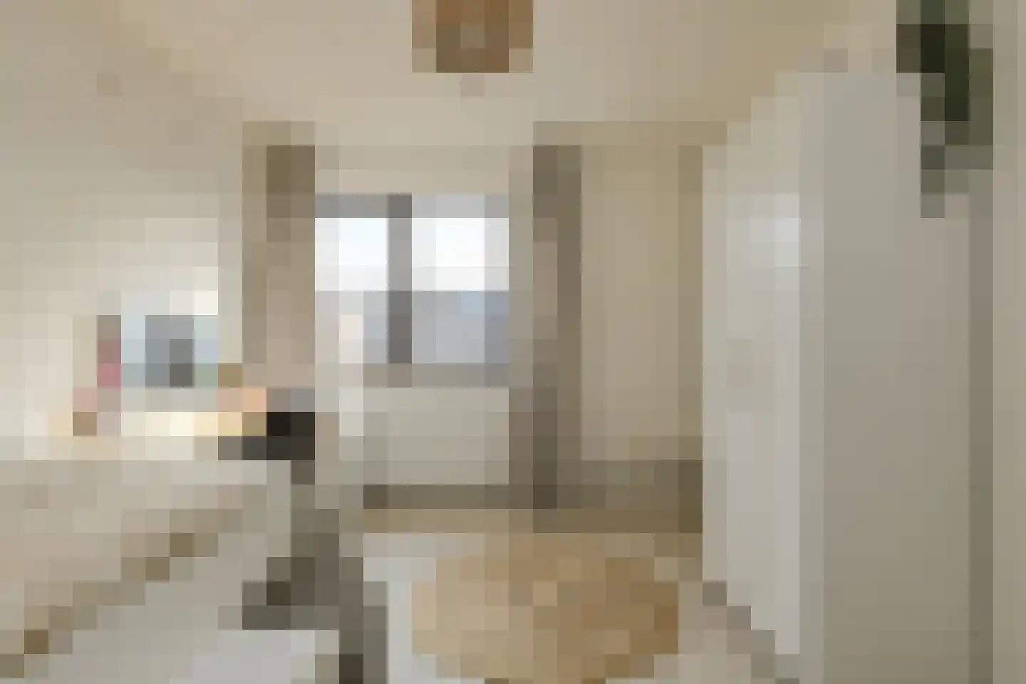 Noortberghmoeren 44 Breda thumbnail 26