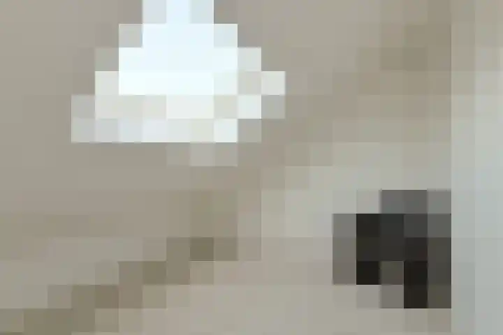 Noortberghmoeren 44 Breda thumbnail 31