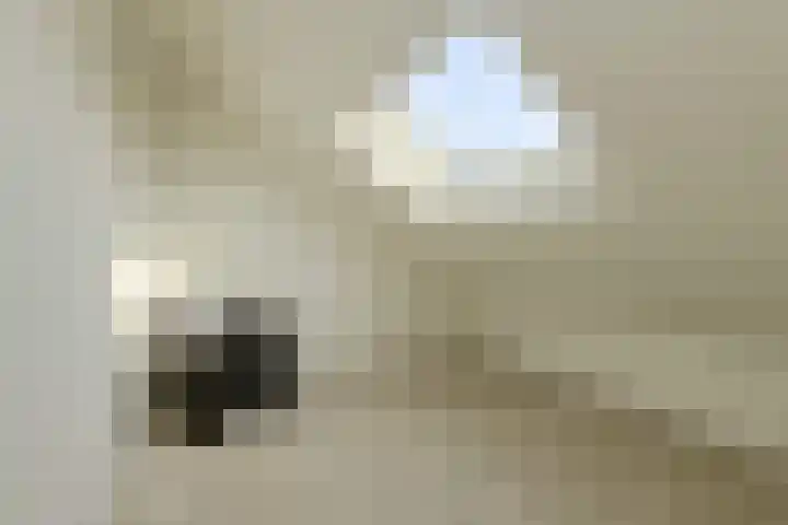 Noortberghmoeren 44 Breda thumbnail 33