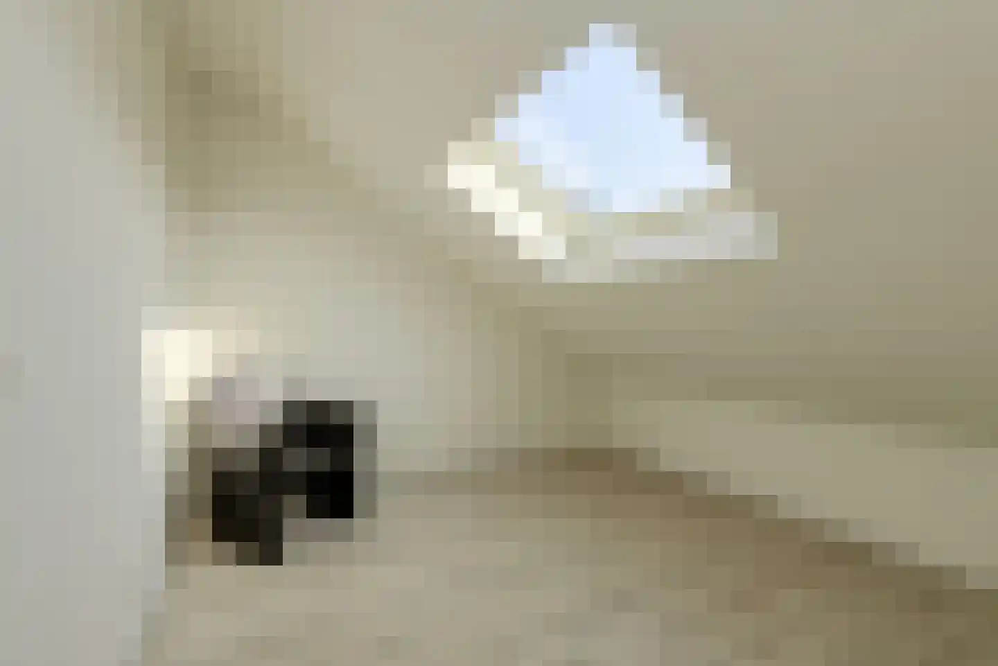 Noortberghmoeren 44 Breda thumbnail 33