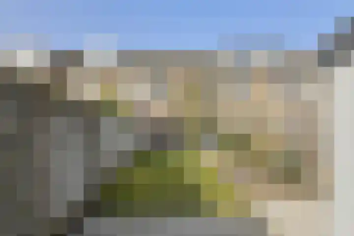 Noortberghmoeren 44 Breda thumbnail 40