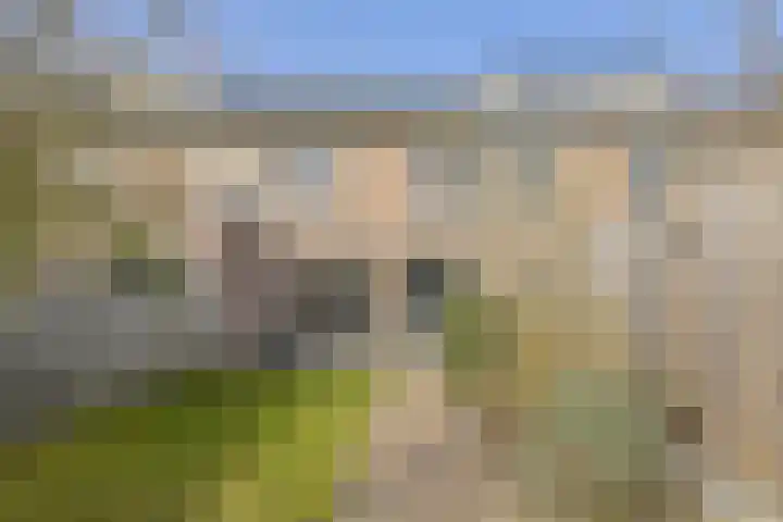 Noortberghmoeren 44 Breda thumbnail 41