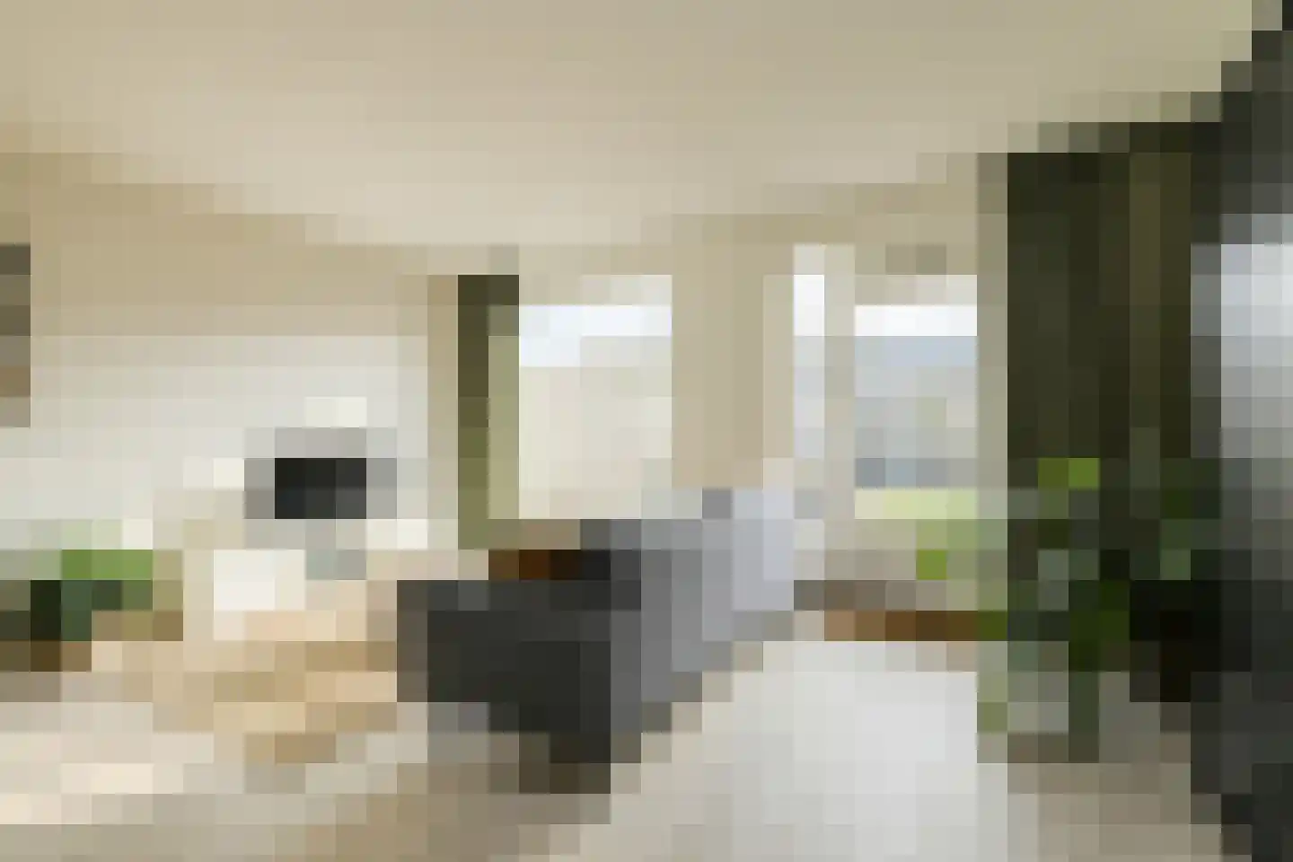 Noortberghmoeren 44 Breda thumbnail 8