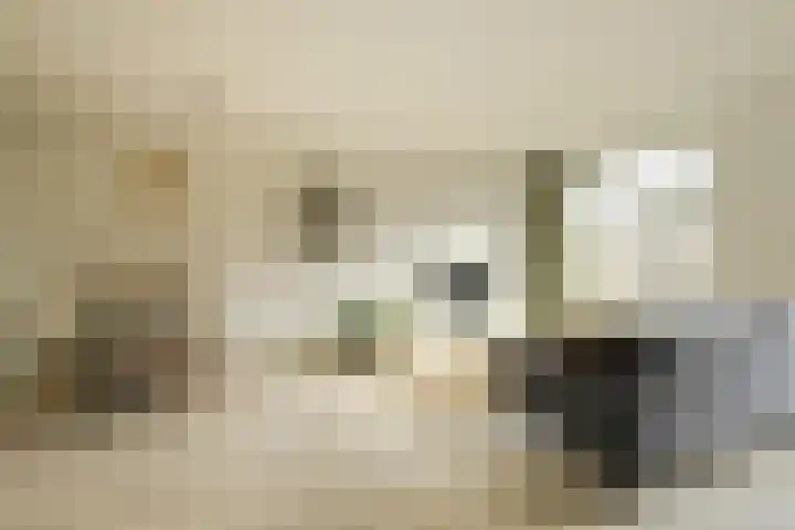 Noortberghmoeren 44 Breda thumbnail 9