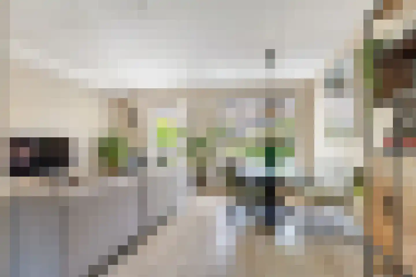 Noortberghmoeren 46 Breda thumbnail 10