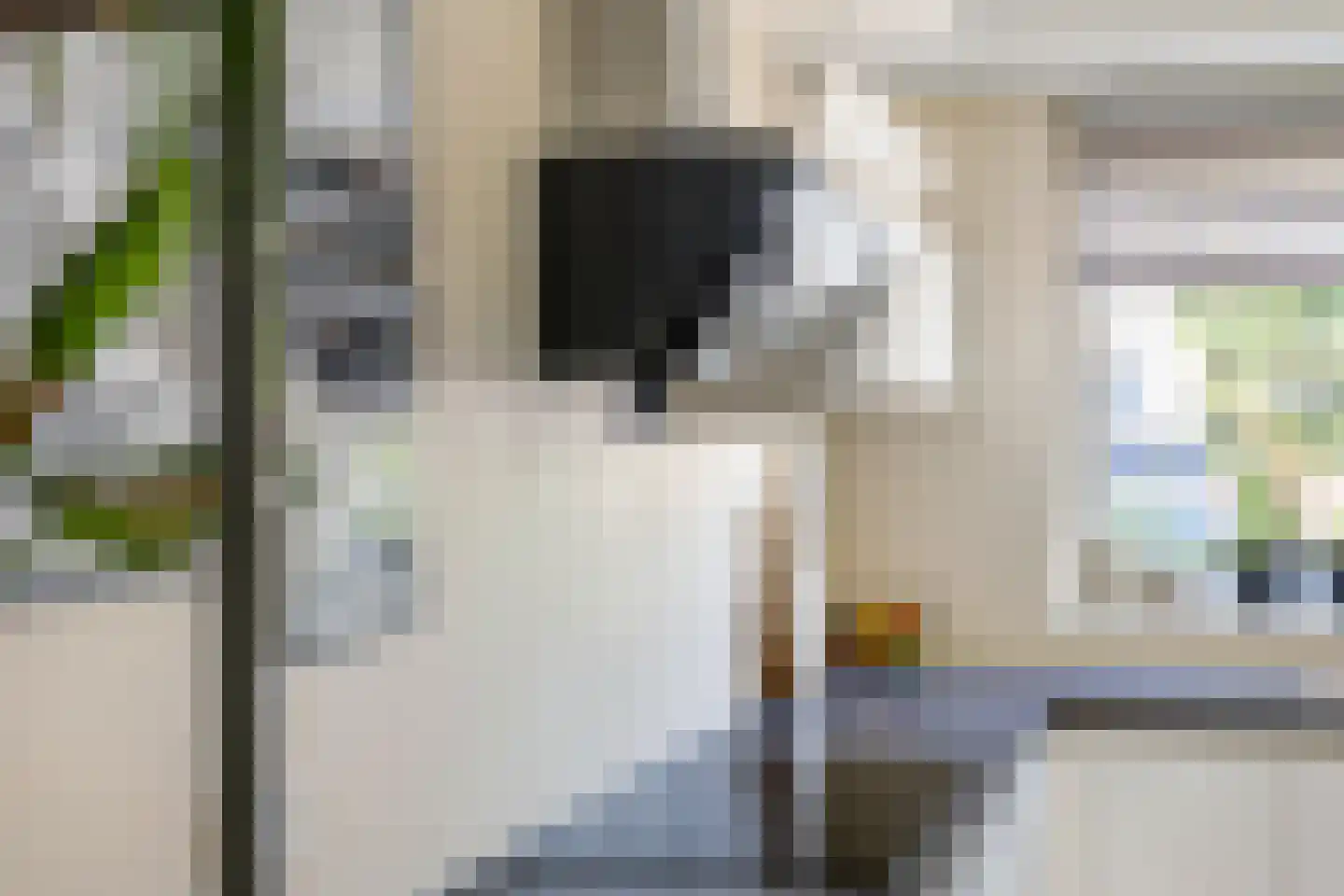 Noortberghmoeren 46 Breda thumbnail 13