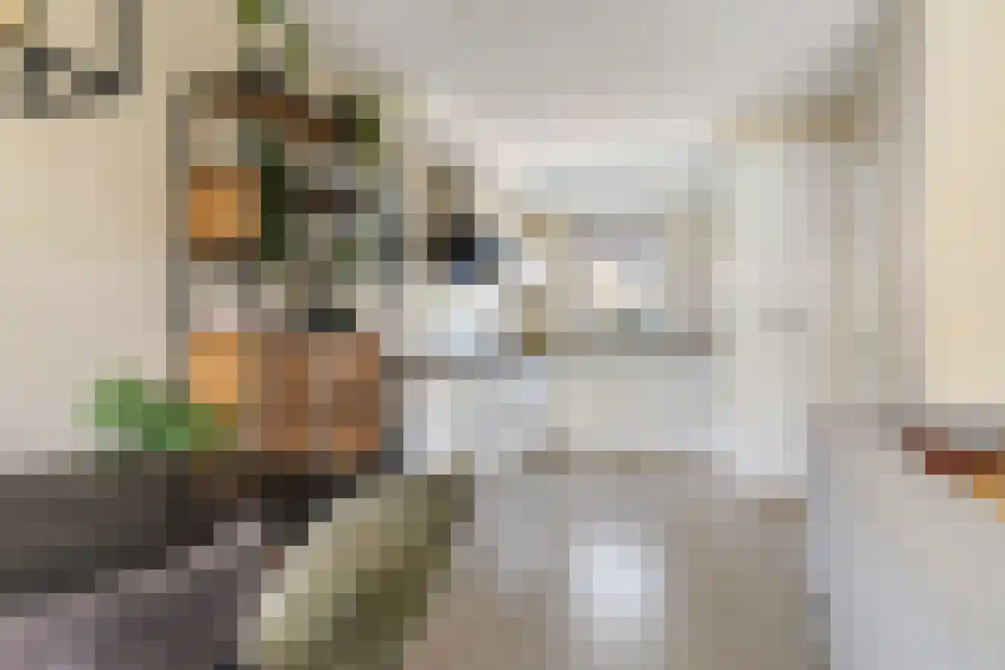 Noortberghmoeren 46 Breda thumbnail 16