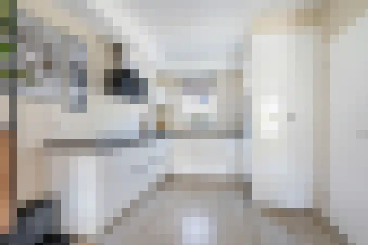 Noortberghmoeren 46 Breda thumbnail 17