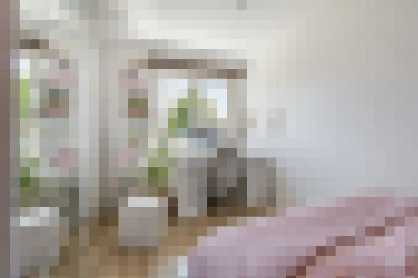 Noortberghmoeren 46 Breda thumbnail 20