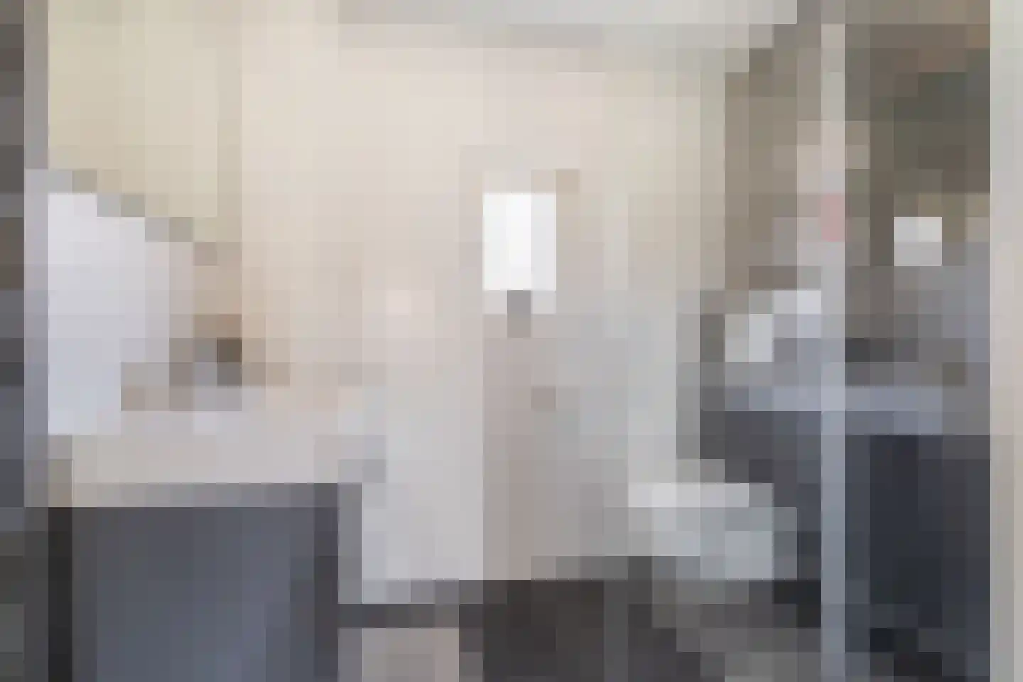 Noortberghmoeren 46 Breda thumbnail 22